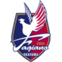 Fagiano Okayama