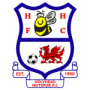 Holyhead Hotspur