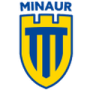 Minaur Baia Mare